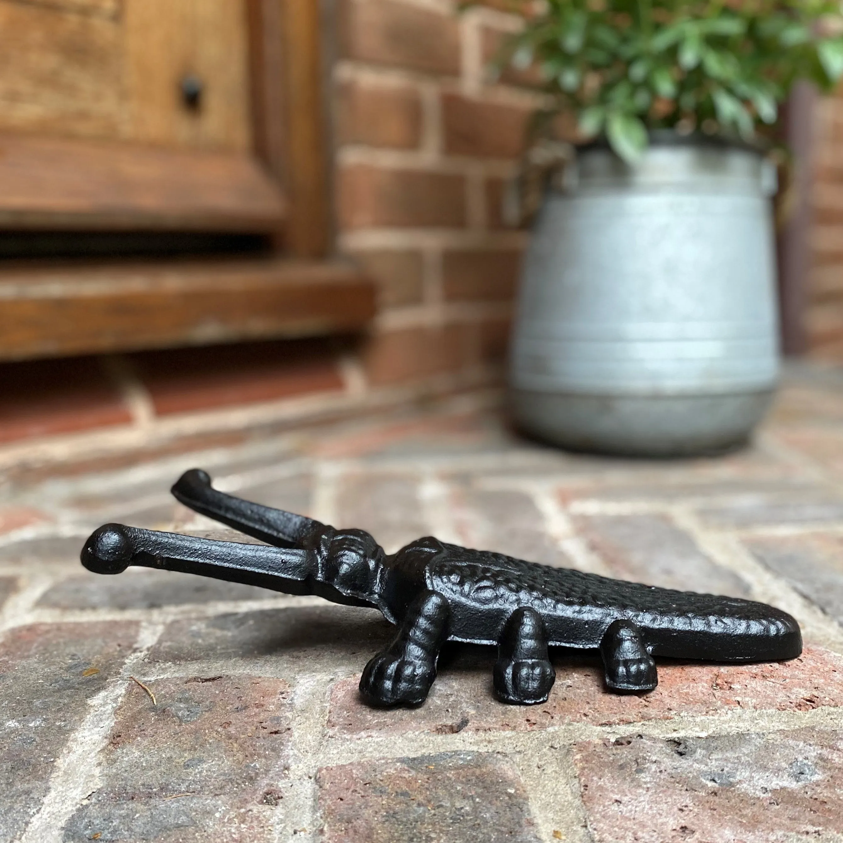Cast Iron Hedgehog Boot Brush Shoe Scraper & Beetle Boot Jack